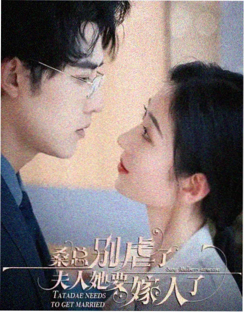 风骚律师